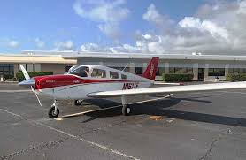 Image result for Piper