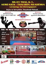 Mészáros lőrinc vagyona egy év alatt százmilliárd forinttal nőtt. Kick Thai Boxing Team Baja Photos Facebook