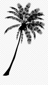 Beach Coconut Tree Png Transparent Images All Coconut Tree Silhouette Png Palm Tree Clipart Transparent Background Free Transparent Png Images Pngaaa Com
