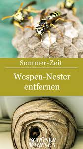 Gartenbista » garten » wespen bekämpfen: Wespennest Entfernen Tipps Hilfreiche Infos Wespe Nester Mittel Gegen Wespen