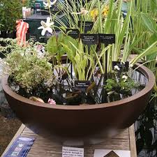 The aquascape aquagarden mini pond kit makes it simple and easy to add the sights and sounds of a water garden to any location. Best Patio Pond Container Mini Pond Kit 2021 Compared Pond Informer