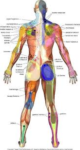 Trigger Point Map Back Massage Therapy Reflexology