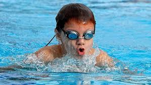 Chevington Woods dominates championships