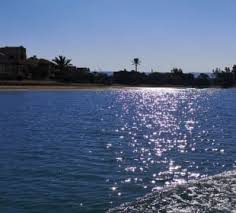 The hotel offers a 24 hour front desk, a concierge, and shops, to make your visit even more pleasant. Hotelbilder Three Corners Rihana Resort Inn El Gouna Holidaycheck
