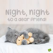 I woke up today, trying to count my blessings. Good Night Messages For Friends Never Stop Dreaming