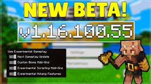 1 toggling 2 warnings 3 features 4 history experimental gameplay is found in the world options when creating or editing a world. Mcpe 1 16 100 55 Beta New Experimental Features Minecraft Pocket Edition Java Parity Youtube