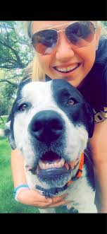 These kittens are waiting for their furever homes! if interested please  fill out our online app at www.aheartforanimals.org.