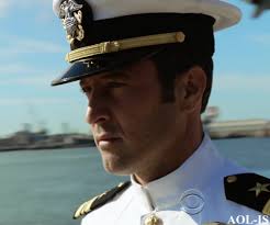 The ﻿Steve McGarrett Story