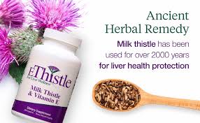 We did not find results for: Amazon Com Ethistle Liver Wellness Dietary Supplement Milk Thistle Vitamin E Liver Health Formula Caplets 180 Count Health Personal Care