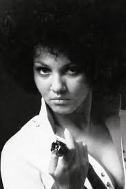 Starsky & Hutch Season 4