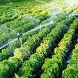 Agriculture