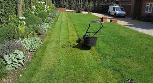 We do soft and hard landscaping, planting, lawns, clearing and maintenance. Elm Farm Garden Services