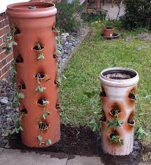 Das kompakte wurzelsystem der erdbeerpflanzen macht es sogar möglich. Vertikales Erdbeerbeet Im Kg Rohr Erdbeerpflanzen Erdbeerbeet Erdbeeren Garten