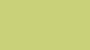 To apply this color as a background color, use this code: Hex Color Code C9d179 Greenish Beige Color Information Hsl Rgb Pantone