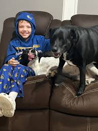 Bella, Piper and a cute junior sitter in training 🤣💙