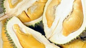 Sebagai contoh, pendekatan tradisional orang cina untuk kesihatan, durian dianggap terlalu panas untuk dimakan semasa kehamilan. Wajib Tahu 3 Pengidap Penyakit Ini Dilarang Makan Durian Tribun Kaltim