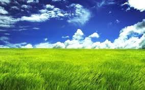 Free Download Wallpapers Grass Green Land Super Hq Landscape Wallpaper Grass Wallpaper Green Landscape