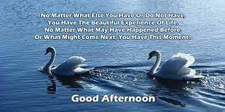 Pin On Good Afternoon