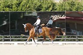 Sally Silverman, Author at Dressage Today