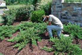 Profile for Cornerstone Lawn Care, LLC.