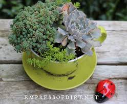 Water your succulent garden once every week or two. 16 Creative Succulent Garden Ideas Empress Of Dirt