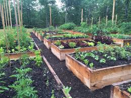 Vegetables Can Be Beautiful Too Finegardening Vegetable Garden Planner Vegetable Garden Design Veggie Garden