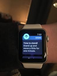 We did not find results for: Amy Staiber On Twitter When Your Apple Watch Calls You Out For Laying In Bed And Watching Netflix All Day
