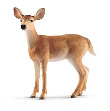 We did not find results for: Schleich Vitsvanshjort Hona Toppen