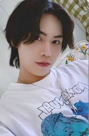 53 ideas de Rocky ❤️ Hamo para guardar hoy