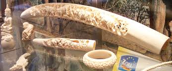 What was ivory used for? Marfil Definition And Synonyms Of Marfil In The Spanish Dictionary