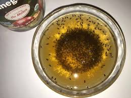 How To Get Rid Of Fruit Flies Quick And Easy Everyday Cheapskate