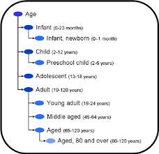 Age x gender effects emerged in onset of gambling problems and amount. Age Range Classes Defined By The Age Ontology Age Range Classes Were Download Scientific Diagram