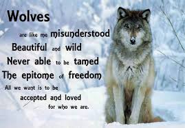 Pin By Patti Espy Portenier On Running With The Wolves Wolf Quotes Lone Wolf Quotes Wolf Poem