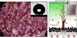 Tan peng sam & co awards & accolades. Hierarchical Copper With Inherent Hydrophobicity Mitigates Electrode Flooding For High Rate Co2 Electroreduction To Multicarbon Products Journal Of The American Chemical Society