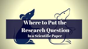 Educators and educational administrators typically use this writing for. Where Does The Research Question Go In A Paper Wordvice