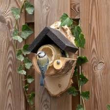 Vivara Mangeoires Pour Fenetres Vivara En 2020 Mangeoire Oiseau Nichoir Oiseau Beurre De Cacahuetes