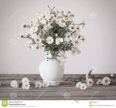 Fiori bianchi in un vaso. Fiori Bianchi In Vaso
