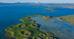 Image result for Pseudovigna