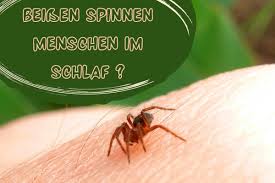 Unser aufenthalt war sehr angenehm, die nächte ruhig, das bett bequem und die tv sender in ordnung. Spinnenbiss Beissen Spinnen Menschen Im Schlaf