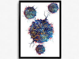 T Cells Human T Cells Science Art Science Print Watercolor Etsy Biology Art Science Art Watercolor Art
