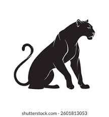 Image result for Panther Black 2002 Puma