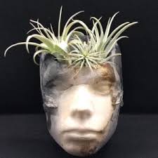 Artists from Las Laguna Art Gallery