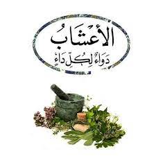 حصريا تحميل كتاب الأعشاب دواء لكل داء مجانا pdf اونلاين 2018 يتحدث الكاتب عن ضرورة الاستفادة من ا books free download pdf pdf books download download books