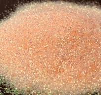Orange Iridescent Rainbow Fine Mix Hex Glitter 1 oz.