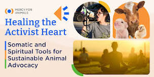 Healing the Activist Heart: Beyond Compassion Fatigue