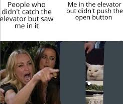 The Absolute Best Woman Yelling At Cat Memes Seriously Only The Good Ones Cat Memes Funny Cat Memes Memes