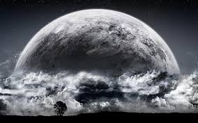 Best 1600x900 moon wallpaper, widescreen 16:9 desktop background for any computer, laptop, tablet and phone. Hd Wallpaper Beautiful Moon Does It Have To Be Animal Related Too Space Moons Hd Art Wallpaper Flare