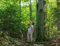 Sounds of Nature (Family Program)