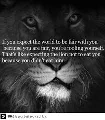 Pin By Mark Adams On Words One Sentence Quotes Words Great Quotes