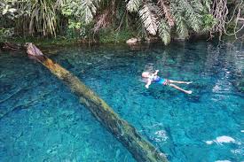 Danau terbening yang pernah di lihat (labuan cermin). Labuan Cermin Danau 2 Rasa Di Kalimantan Timur Daily Voyagers